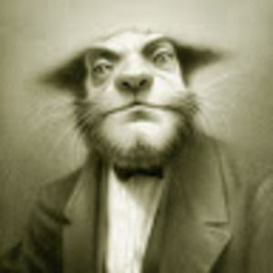 Meet your Posher, Roberto